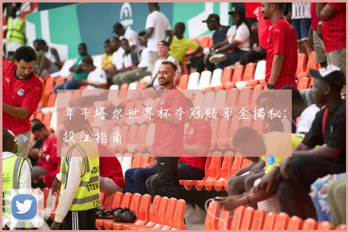 年卡塔尔世界杯夺冠赔率全揭秘：投注指南