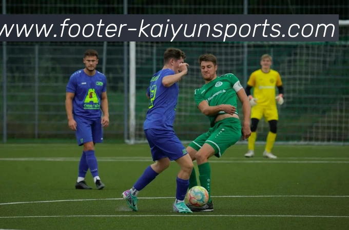 开云体育平台生态图